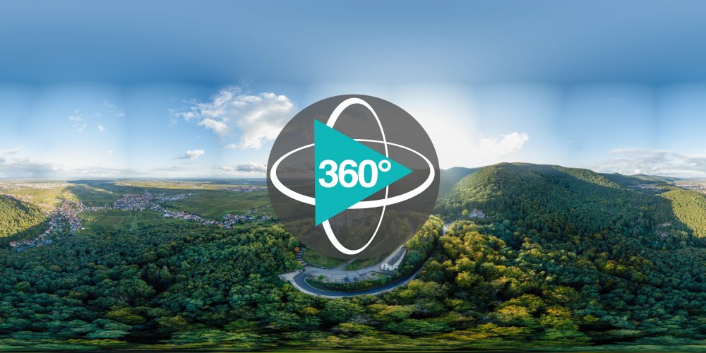 Play 'VR 360° - Deutsche Weinstraße